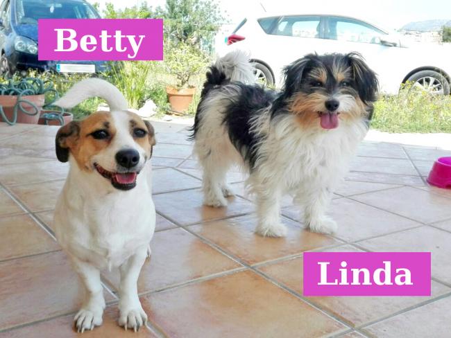  Betty y Linda 