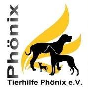 Agradecimiento a Tierhilfe Phnix
