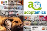 Recibimos apoyo por parte de la Plataforma Animalarte