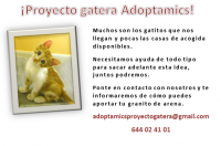 Proyecto gatera Adoptamics