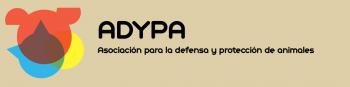 Adypa